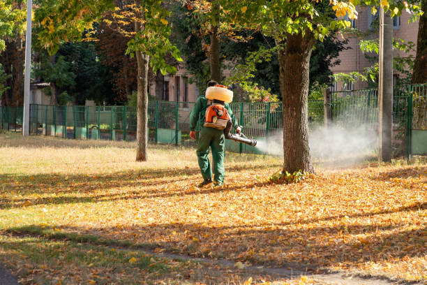 Best Termite Control Services  in Tlassee, AL