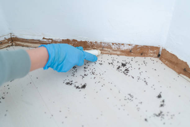Best Pest Prevention Services  in Tlassee, AL